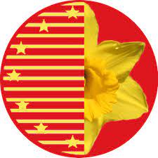 Daffodils English Academy logo