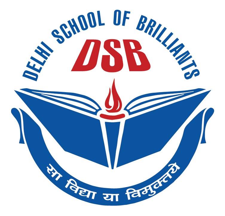 Delhi School of Brilliants logo