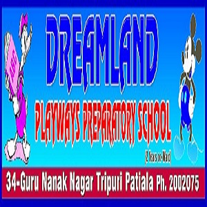 Dreamland Playways Preparatory School logo