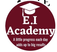 E.I. Academy logo