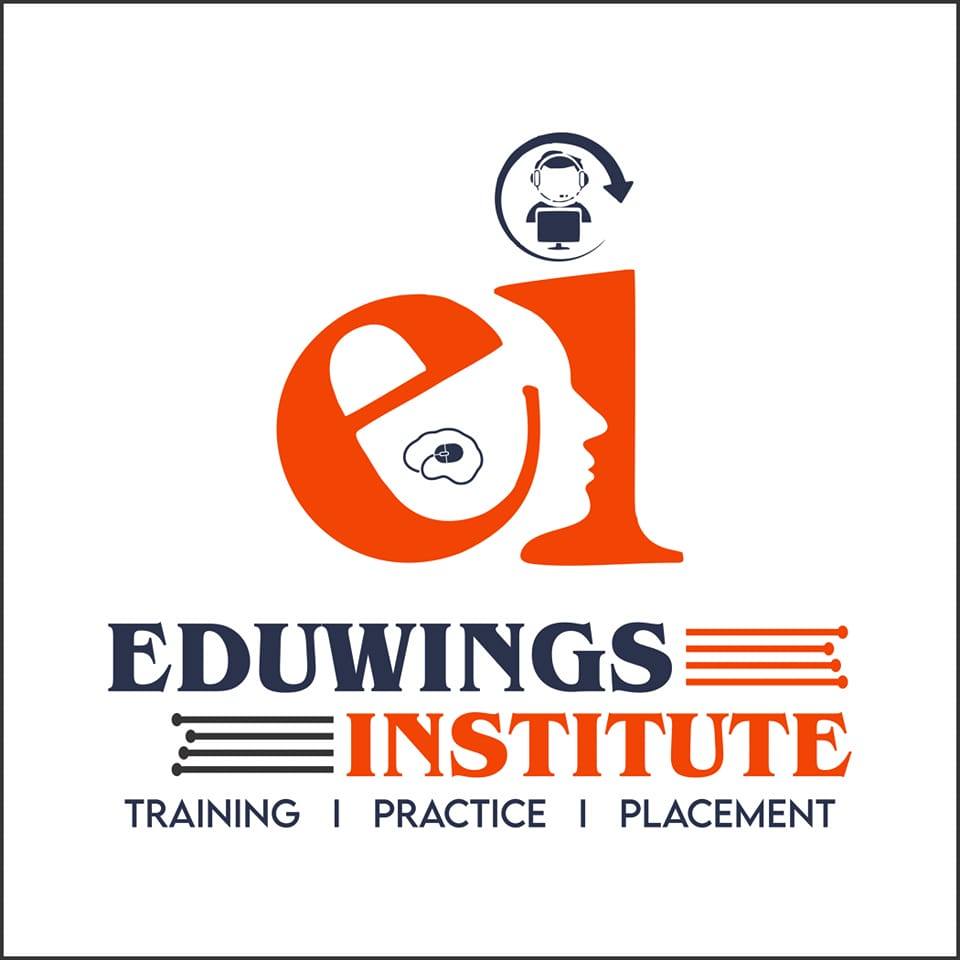 Eduwings Institute logo
