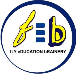 Fly Education Brainery logo