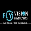 Fly Vision Consultants logo