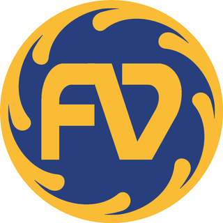 Future Vision Computer Institute logo