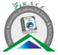 G-Race - An Academy for Foreign Languages logo