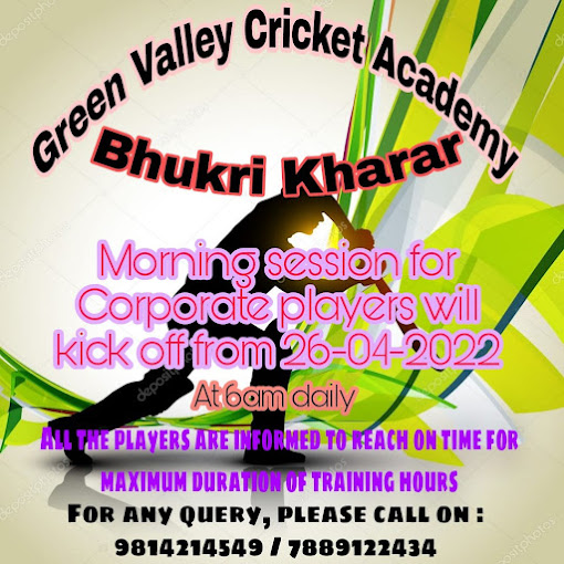 Green Valley Cricket Academy logo