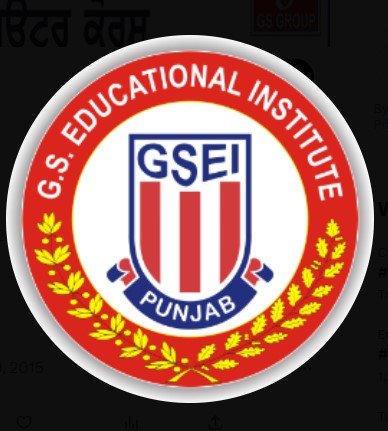 GS EDUCATIONAL INSTITUTE logo