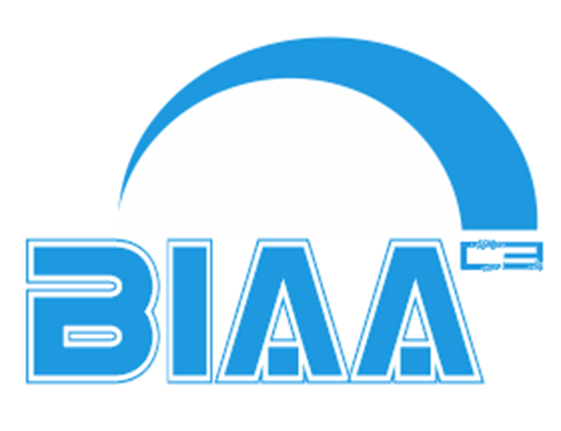 Ibi Nanny Institute logo