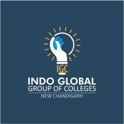Indo Global Colleges logo
