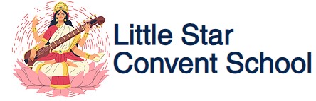 Little Star Convent School logo