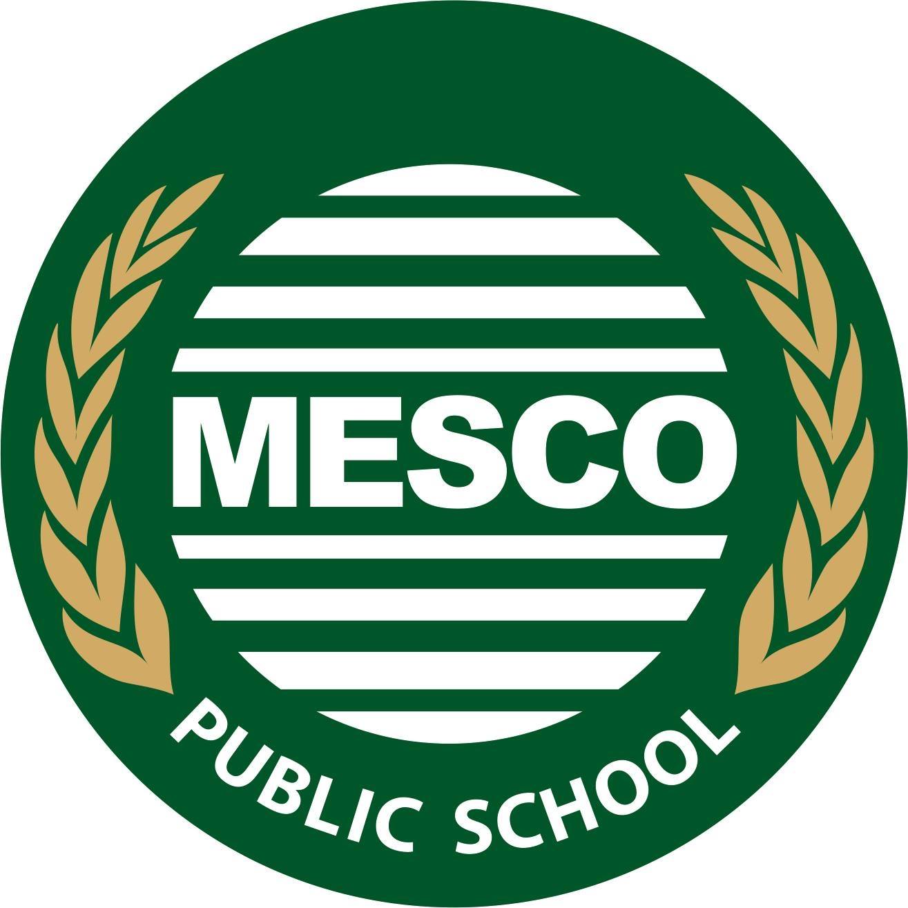Mesco Public School logo