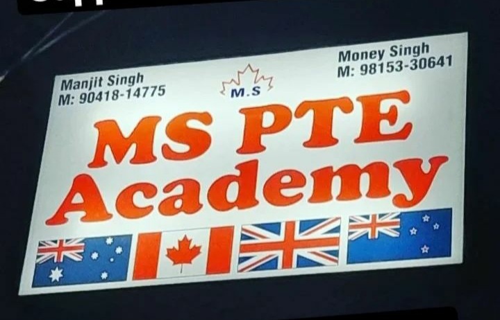 MS PTE ACADEMY logo