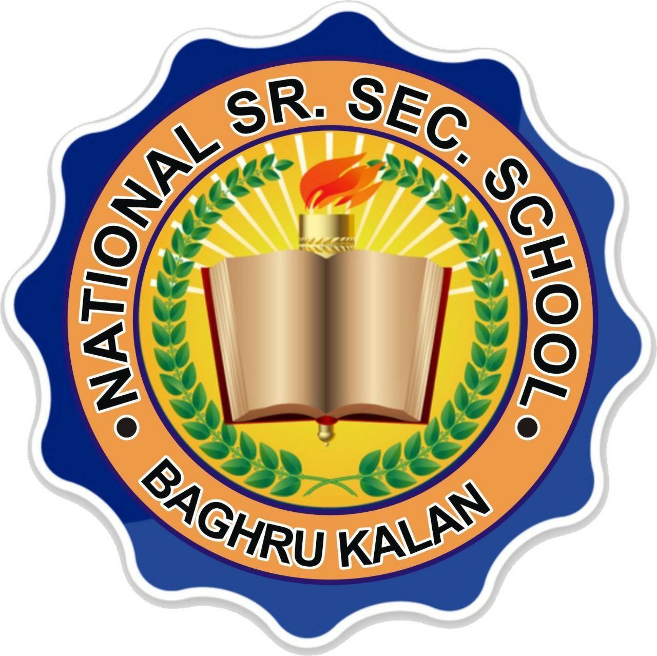 National Sr. Sec. School logo