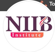 NIIB Institute logo