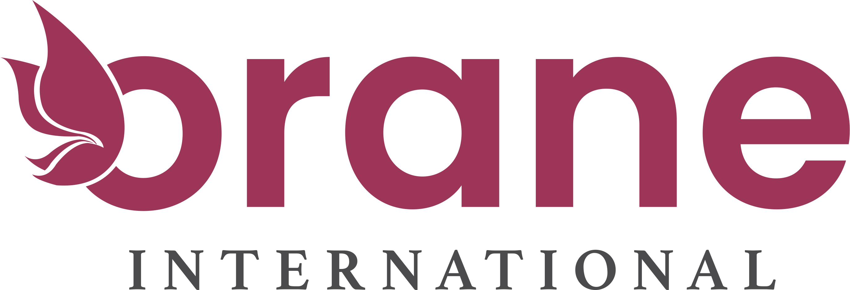 Orane International School of Beauty & Wellness logo