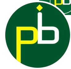 Panacea Bharti Institute Pvt. Ltd. logo