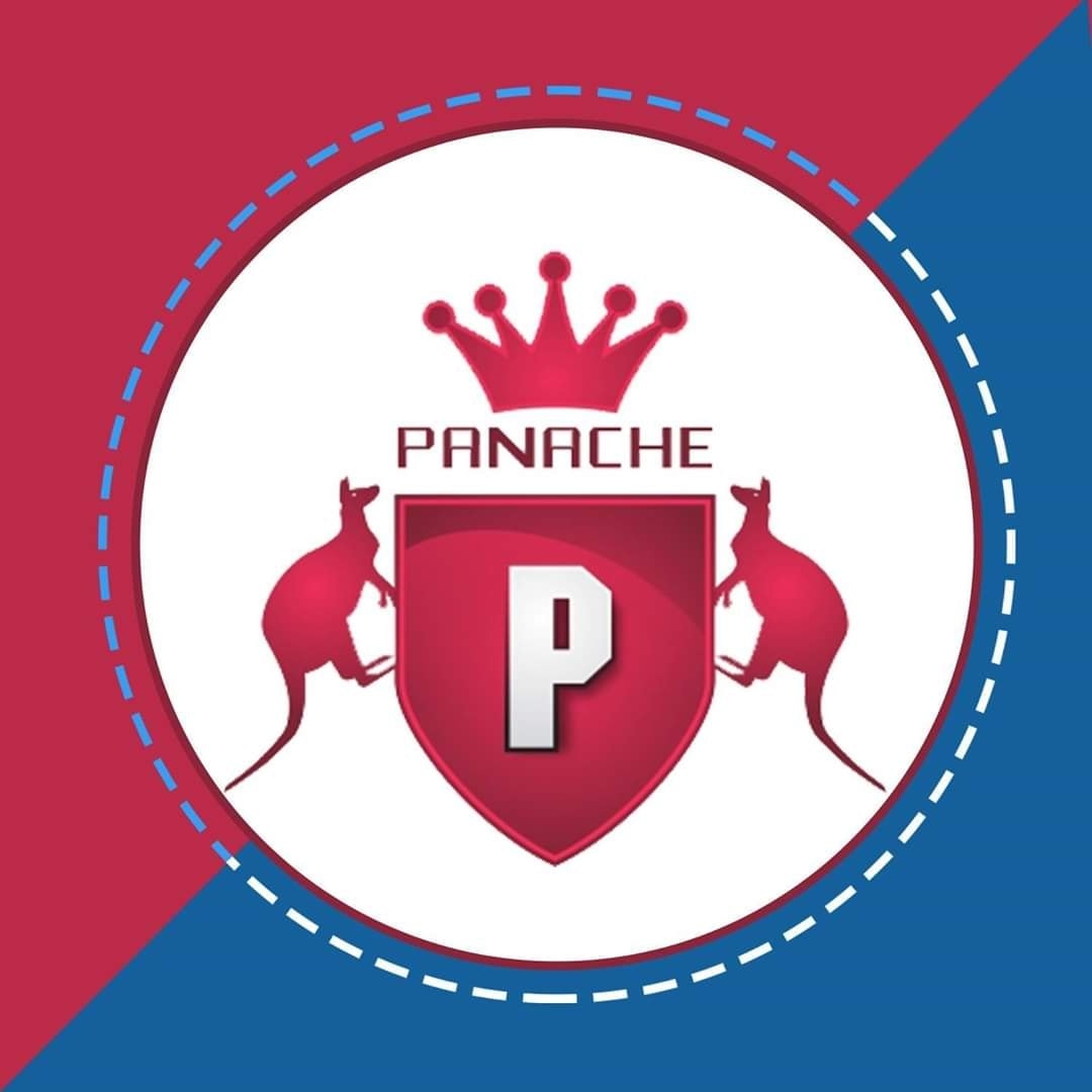 Panache Immigration & Education Consultant Pvt Ltd logo