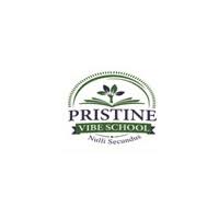 Pristine Vibe School logo