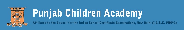 PUNJAB CHILDERN ACADEMY logo