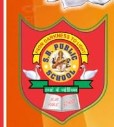 S.B.Public School logo