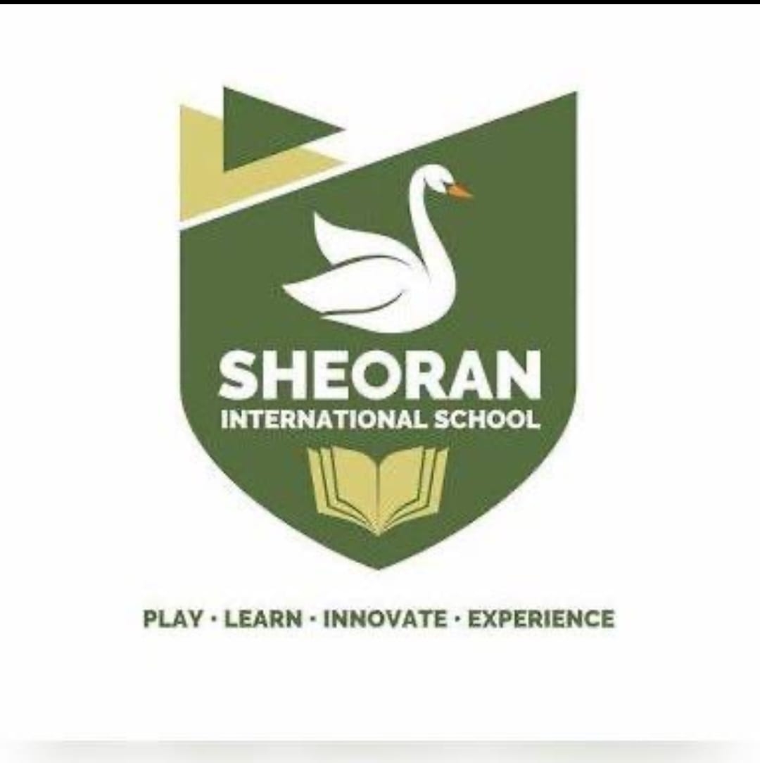 Sheoran International School logo