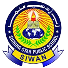 Shining Star Public School logo