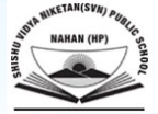 Shishu Vidya Niketan Public School logo
