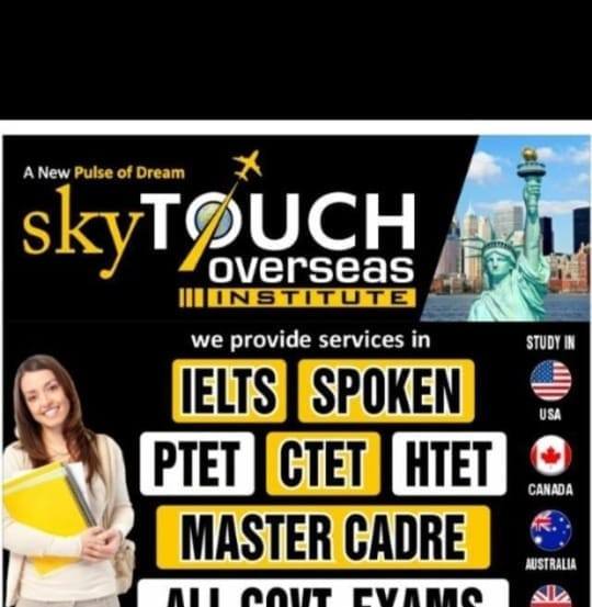 SKY TOUCH OVERSEAS INSTITUTE logo