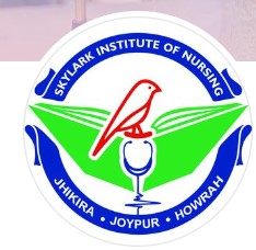 Skylark Institute of Nursing logo