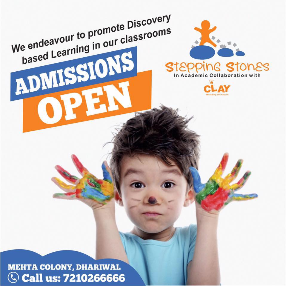 Stepping Stones Playway School logo