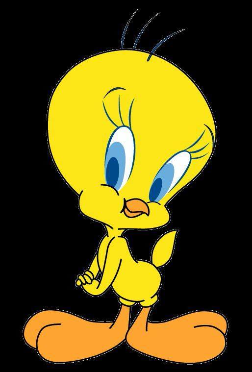 Tweety Preschool & Daycare logo