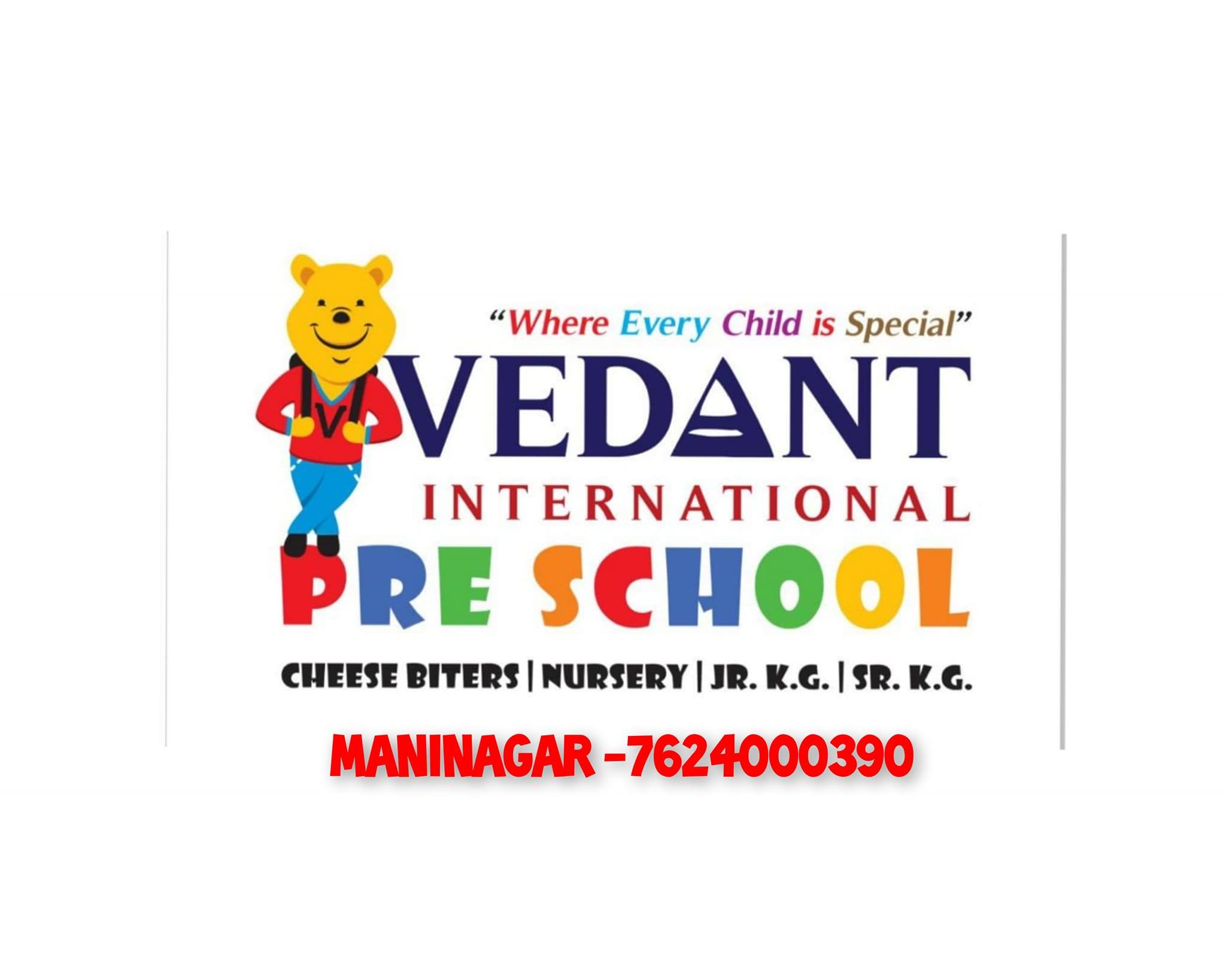 Vedant International Preschool logo