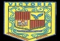 Victoria International Public School logo