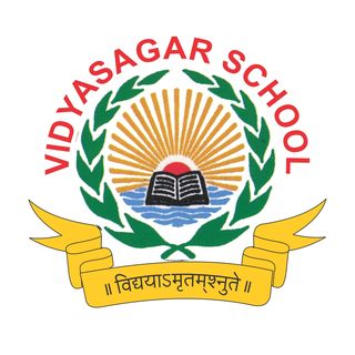 Vidyasagar School logo