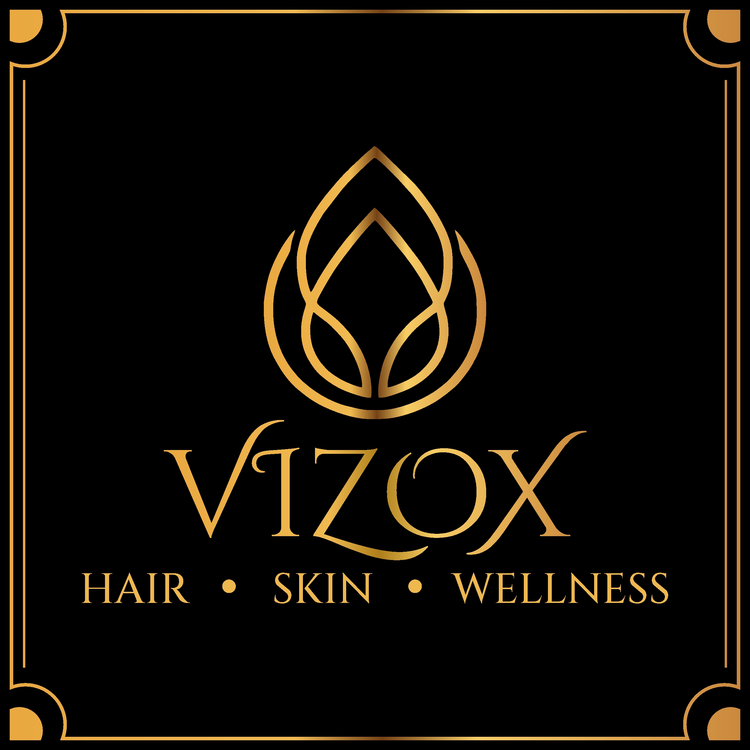 Vizox Clinique logo