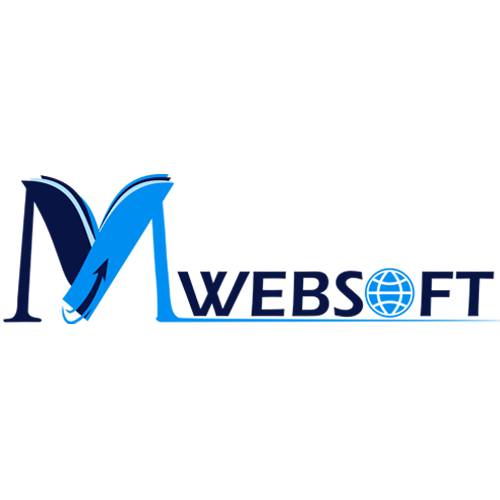 VM Websoft logo