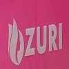 Zuri International Academy logo